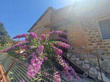 Indipendente a Amelia