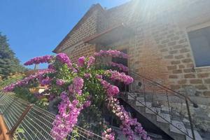 Indipendente a Amelia