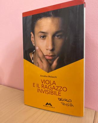 libro “viola e il ragazzo invisibile”