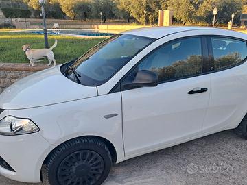 LANCIA YPSILON 1200 ELEFANTINO BLU