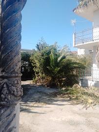 CastelVolturno.appartamento in villa 9 /10 posti