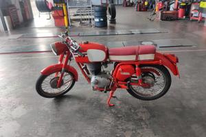 Gilera Altro modello - 1966