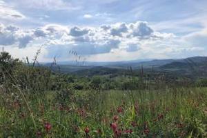 Terreno agricolo val d orcia
