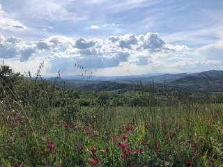 Terreno agricolo val d orcia