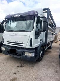 Iveco Eurocargo 160 25 centinato