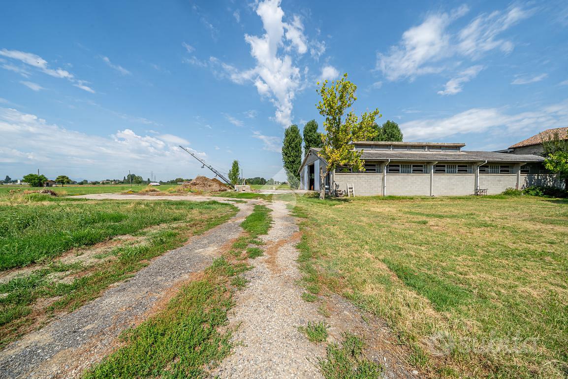 TER. AGRICOLO A REGGIO NELL'EMILIA - Altro