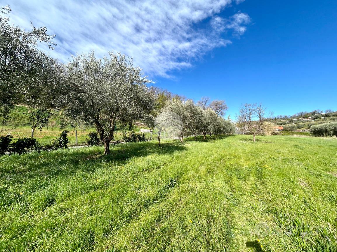 TER. AGRICOLO A BARDOLINO - Altro