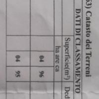 Terreno punta prosciutto