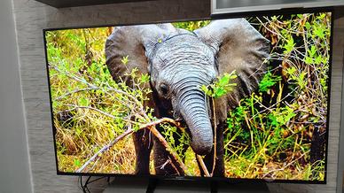Sony bravia KD-55xf8596 4k