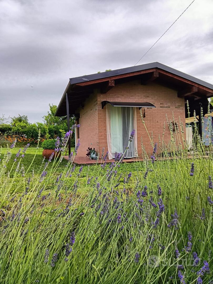 Terreno agricolo con ricovero attrezzi a Valenza - Altro