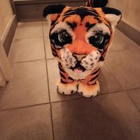 tigre del bengala for real friends