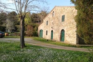 La Toscana . Originale