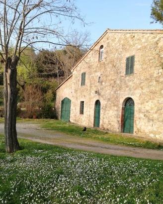 La Toscana . Originale
