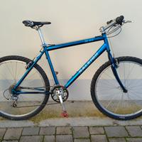 Mountain bike Raleigh 26 