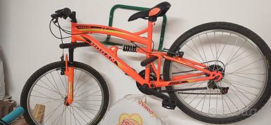 Bicicletta da ragazzo 