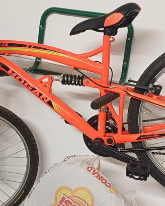 Bicicletta da ragazzo 