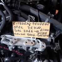Motore Peugeot Citroen DS Opel YH01