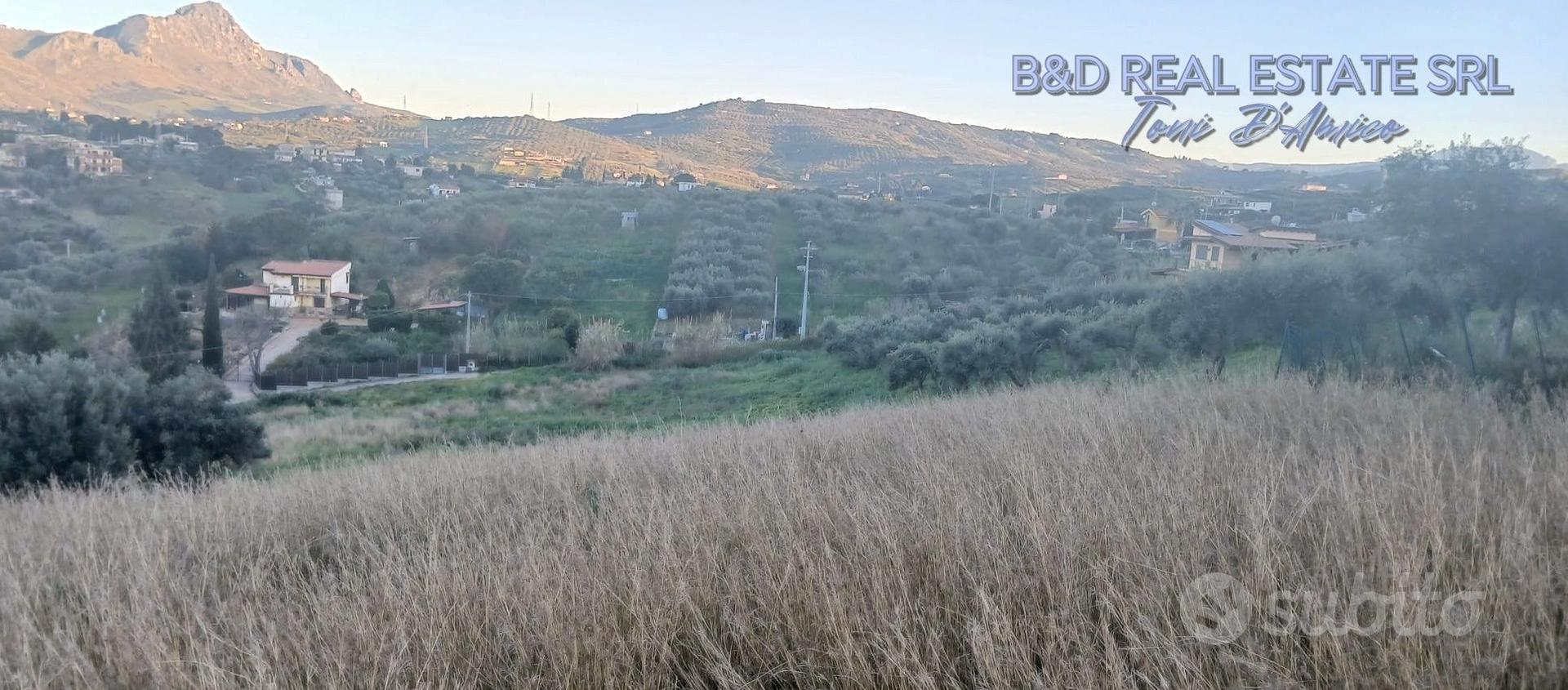 Pianeggiante terreno agricolo Bagheria [TerM/8] - Vista 4