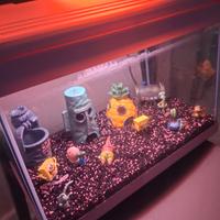 Acquario Hallo Kitty