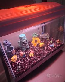 Acquario Hallo Kitty