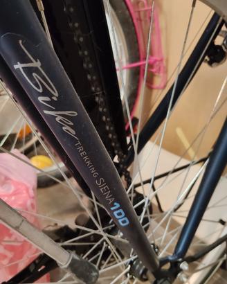 Bici Lombardo Siena 100