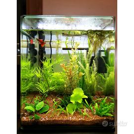 Acquari di tutti i tipi e dimensioni nuovi o usati