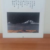 LP vinile L'arca di Noè di Battiato 