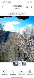 terreno con rustico 