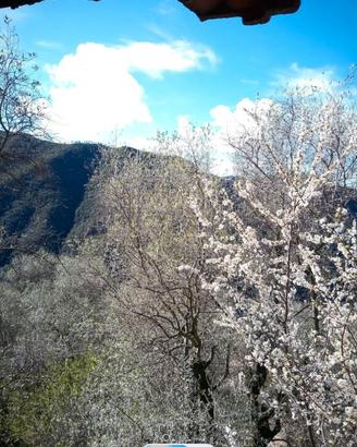 terreno con rustico 