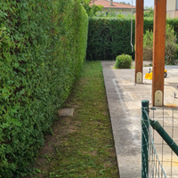 Giardiniere sistemazione aree verdi