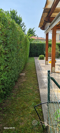 Giardiniere sistemazione aree verdi