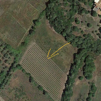 Terreno agricolo comune di San Giovanni Suergiu SU