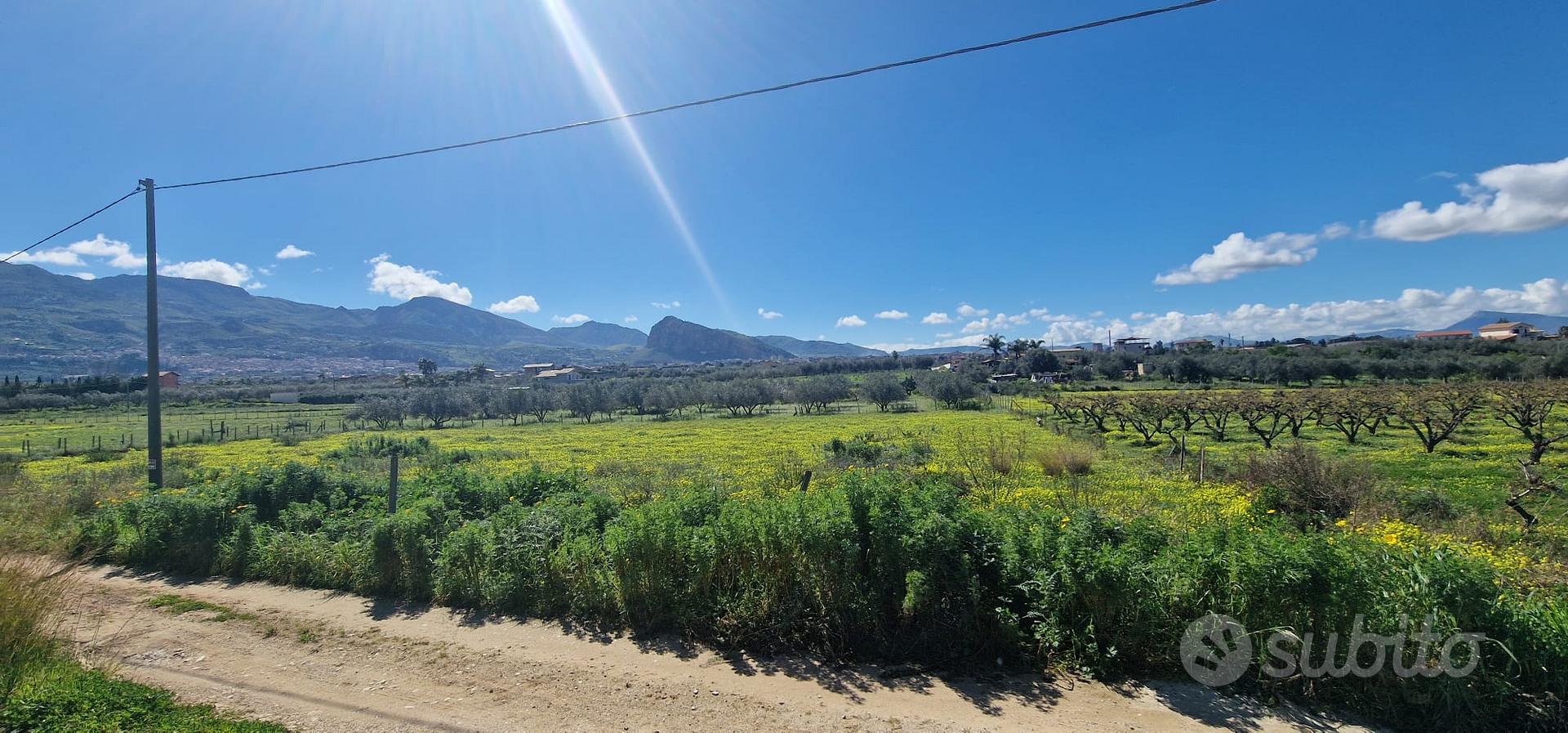 Terreno agricolo Contrada Principe, Partinico - Vista 2
