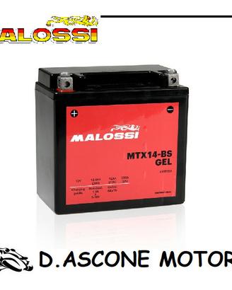 BATTERIA MALOSSI GEL MTX14-BS