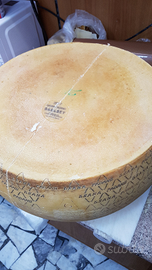 Gastronomo,tecnico salumi,maestro assaggiatore