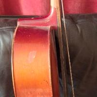 violoncello