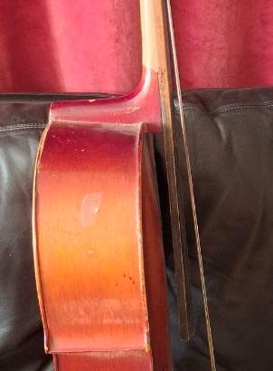 violoncello