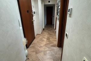 Affitta trilocale arredato