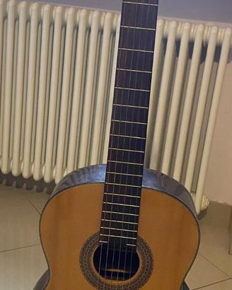 Chitarra completa di custodia