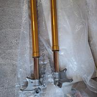 mono ohlins multistrada