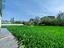 Immagine 12
