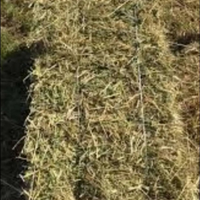 Ballette fieno naturale 2025