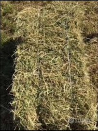 Ballette fieno naturale 2025