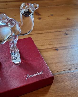 cammello In cristallo francese Baccarat