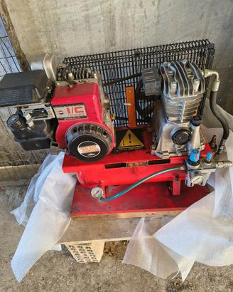 Motocompressore completo per raccolto ulivo