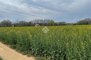 TER. AGRICOLO A MEZZAGO