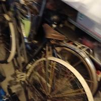 due biciclette da donna