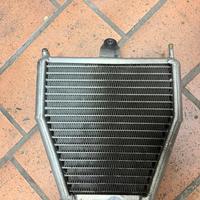 RADIATORE BZM MINIMOTO