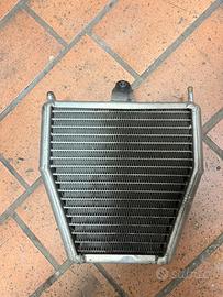 RADIATORE BZM MINIMOTO