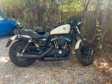 Harley 883